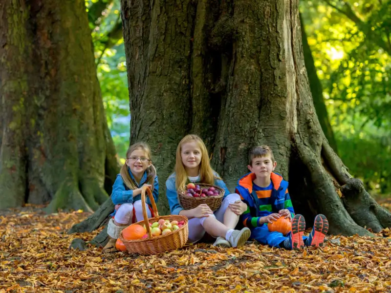 Khi hậu Ireland tháng 10