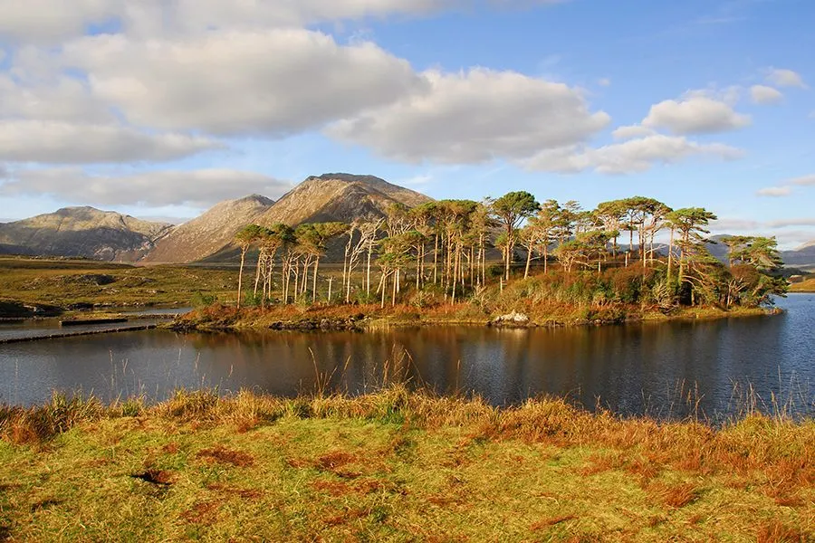 Connemara National Park